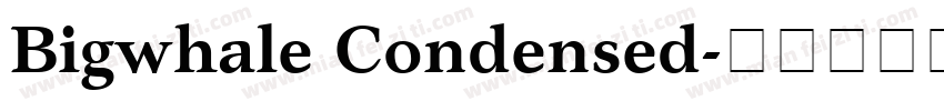 Bigwhale Condensed字体转换